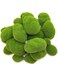 30PCS 3 Size Artificial Moss Rocks Decorative, Green Moss Balls,Moss Stones, Green Moss Covered Stones, Fake Moss Decor for Floral Arrangements, Fairy Gardens and Crafting