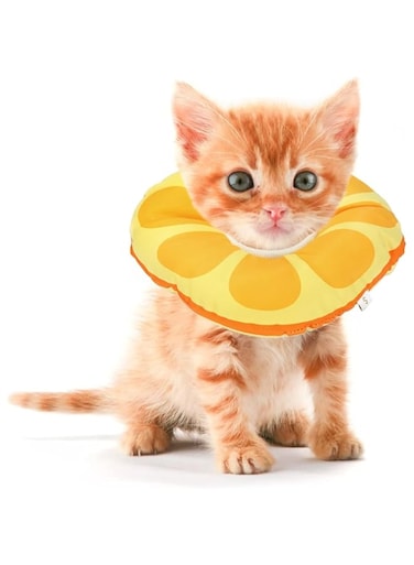 Azonee Cat Small Dog Recovery Collar, Neck Cone After Surgery, Adjustable Pet E Collar, Wound Healing Protective Cone Surgery Recovery Elizabethan Collars for Kitten 0-6 Months Old