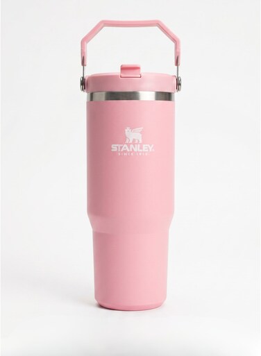 IceFlow 2.0 Fast Flow 30 oz Insulated Stainless Steel Tumbler with Handle &acirc;&euro;&ldquo; Leakproof BPA-Free Water Bottle with Twist-On Angled Spout Lid, Baby Pink