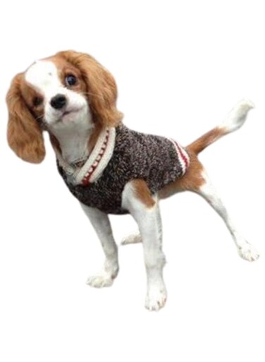 Chilly Dog Boyfriend Dog Sweater, XX-Small