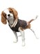 Chilly Dog Boyfriend Dog Sweater, XX-Small