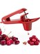 Pitter - Stainless Steel Cherries Corer Pitter Tool with Hand-held Push Design, Save Time &amp; Space for Making Cherry Jam with Lock Design(Red)