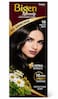Bigen Speedy Hair Color Conditioner Natural Black No. 10, 80g, Fast Grey Coverage Hair Dye
