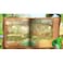 Yoshi &amp; the Mysterious Book Switch 2