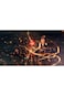 Xenoblade Chronicles Definitive Edition Switch 2