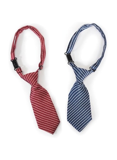 Camon Necktie For Dogs (Striped)