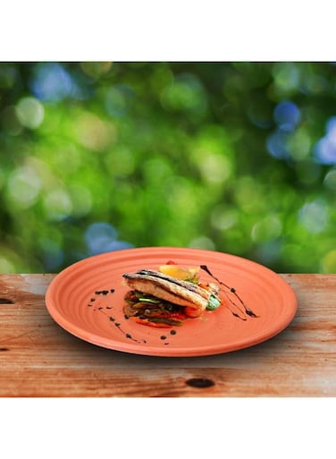 DINEWELL MELAMINE TERRACOTA DINNER PLATE, 11 INCH, BROWN, DWMP025TC, 1 PC