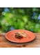 DINEWELL MELAMINE TERRACOTA DINNER PLATE, 11 INCH, BROWN, DWMP025TC, 1 PC