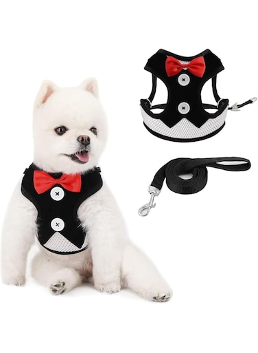 Bolivia's Dog Harness and Lead Sets, Breathable Cute Dog Harness Leash Set, Small Black Leash Set, Adjustable Pet Vest Harness with Bowknot for Chest and Back Range 23-42 Cm Small Medium Puppy (S)