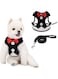 Bolivia's Dog Harness and Lead Sets, Breathable Cute Dog Harness Leash Set, Small Black Leash Set, Adjustable Pet Vest Harness with Bowknot for Chest and Back Range 23-42 Cm Small Medium Puppy (S)