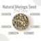 AWAFI MILL Natural Moringa Seed - Premium Quality - Rich in Nutrients - Superfood for Health and Wellness - Sustainable Sourcing (Bottle of 50 gram / 1.7 Oz)