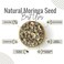 AWAFI MILL Natural Moringa Seed - Premium Quality - Rich in Nutrients - Superfood for Health and Wellness - Sustainable Sourcing (Bottle of 50 gram / 1.7 Oz)