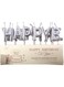 Kaissar Amer Silver Happy Birthday Candle Set (12pcs) - Elegant Metallic Candles for Birthday Cakes, Perfect for Celebrations and Party Decorations