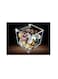 Creative Planet Coffee Pods Holder for Nespresso Vertuo Keurig K Cups Capsules. Designer Acrylic Coffee Bar Accessories for Your Coffee Station. (Everything Gets Better with Coffee)