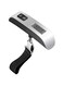 Hanging Luggage Scale Silver/Black 50kg