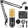 Title: All-in-One BM-800 Microphone Bundle with V8 Sound Card for Streaming &amp; Recording