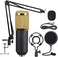 Title: All-in-One BM-800 Microphone Bundle with V8 Sound Card for Streaming &amp; Recording