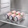 Home Fridge Bottle Organizer Clear 28.5x21x10.5cm