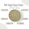 AWAFI MILL Dill Seed (Suva Seed) - Premium Quality - Aromatic Herb for Culinary Delights - Rich in Flavor and Nutrients (Bottle of 50 gram / 1.7 Oz)