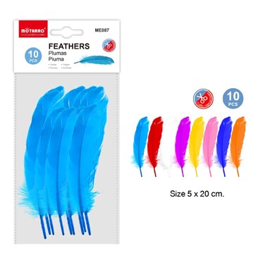 MOTARRO 10PCS Craft Feathers Set ME087 &ndash; Natural &amp; Dyed Feathers for DIY Art Projects, School Crafts, Home D&eacute;cor &amp; Costume Making
