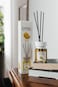 EYFEL REED DIFFUSER- MELON 120ML
