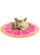 PETSARY GrapeFruit Design Cooling Mats for Dogs and Cats Colorful Beat The Heat   Non-Toxic Summer Time Dog and Cat Cooling Pad   Colorful Cooling Gel Mat Bed for Mat (35x35 CM) (Grapefruit)