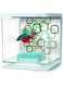Marina Fluval Marina Betta Kit Geo Bubbles 2L
