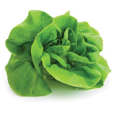 Green Boston Lettuce 160g