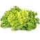 Luttuce Frisee Green Import 200g
