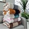 Luxury Striped Soft &amp; Checkered Flannel Fleece Blanket 160x220cm Single Ply Blanket Suitable For All Season, Comfortable, Fluffy, Blanket For Bed And Sofa 800gm