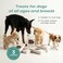 O2Pets Lamb Slice Dog Treats &mdash; Air-Dried, Single-Ingredient Training Treats &mdash; High-Value, Low-Mess Rewards for Puppies &amp; Adult Dogs, Grain-Free, Hypoallergenic &mdash; 70 g