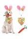 CAISANG Dog Easter Costume Cute Bunny Ears Headband Easter Eggs Bandana Puppy Funny Rabbit Carrot Chew Toys 3Pcs Easter Party Gifts Medium Large Dog Easter Outfit Clothes Accessories (No LED, Pink)