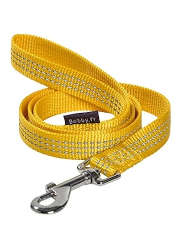 Bobby Safe Lead Fancy Yellow Medium