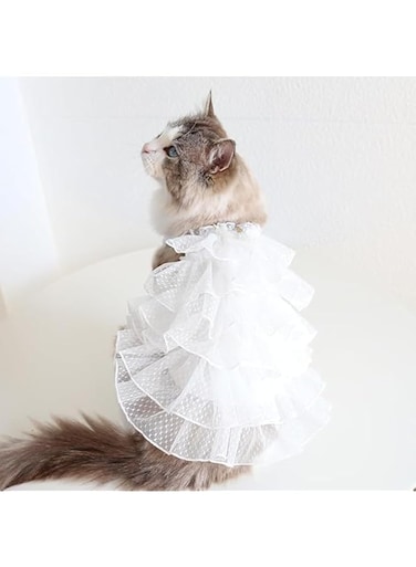 Dog Wedding Dress for Cat,Cute Starry Sky Pet Summer Clothes Vest Tutu Skirt, Christmas Dress Costume for Small Dog Pet Apparel (white, M)