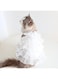Dog Wedding Dress for Cat,Cute Starry Sky Pet Summer Clothes Vest Tutu Skirt, Christmas Dress Costume for Small Dog Pet Apparel (white, M)