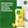 Dettol Fresh Shower Gel &amp; Body Wash, Citrus &amp; Orange Blossom, 500ml