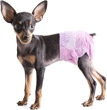 Mumoo Bear Doggy Diapers Female Disposable Dog Diapers for Girl Puppies Cats, Pink Diapers 10pcs for Pets with Adjustable Tail Hole Cute, White, female wraps, S