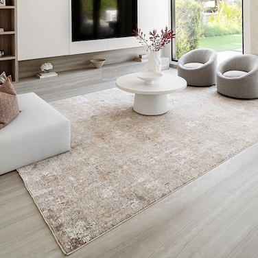 Ethan Goldberg 350 x 245 cm Carpet Centre Home Designer Rug for Bedroom Living Dining Room Office Soft Non-slip Area Textile Decor