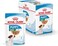 Royal Canin, Mini Puppy Pouch Wet Dog Food, 85 grams, Pack of 12
