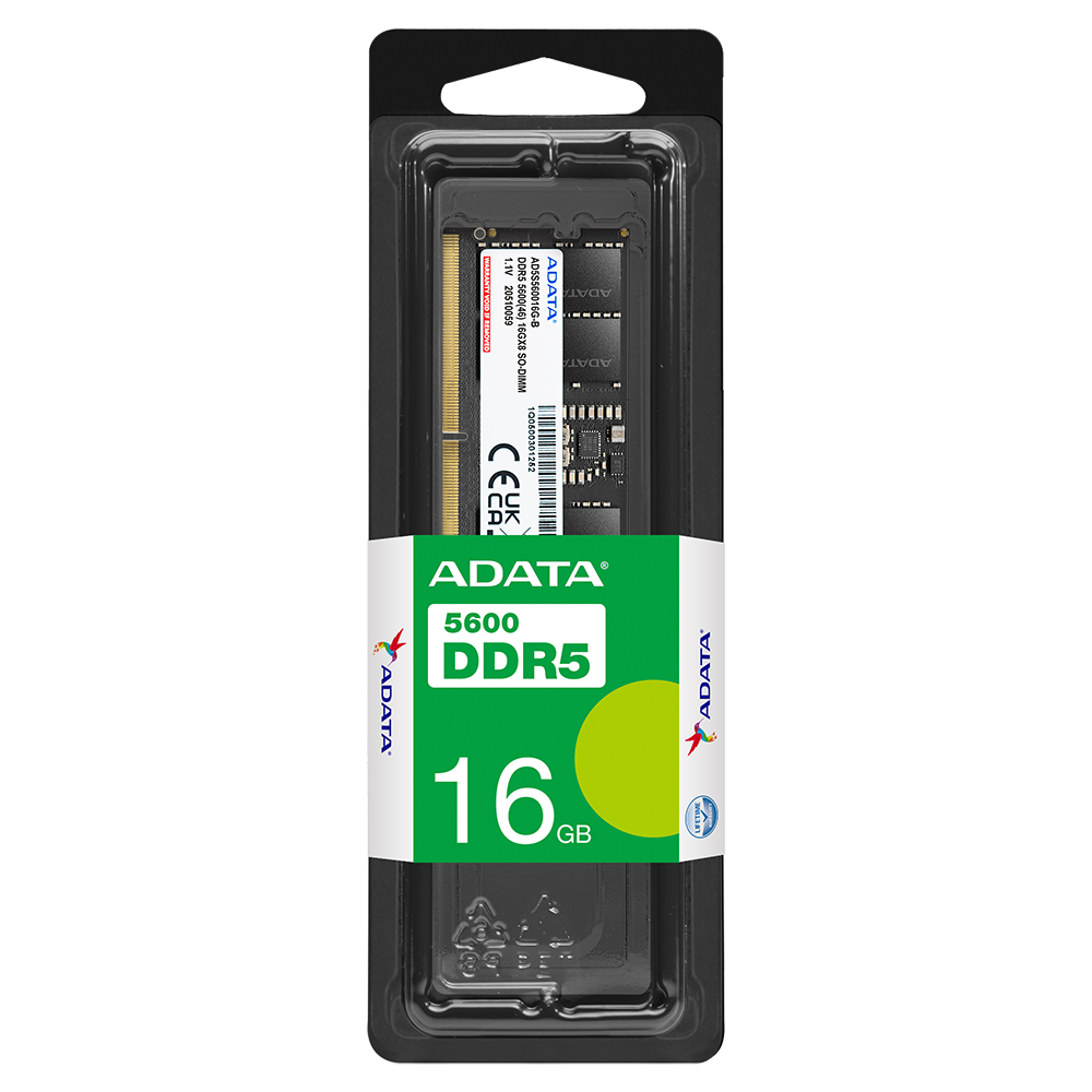 Buy ADATA 16GB DDR5 5600 U-DIMM Memory Module RAM AD5U560016G-S