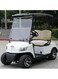 MARSHELL 2 SEATER GOLF CART DG-M2 WHITE