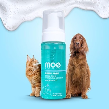Pet Dry Shampoo for Instantly Clean and Fresh Fur   Waterless Foam Cleanser for Dogs and Cats   (150 ml)