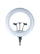 Large LED Ring Light with Remote Control for Photography