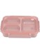 Generic Stainless Steel Lunch Boxes with 3 Compartment &amp; Leakproof Reusable Microwave Freezer Safe Stainles Steel Portion Snack Containers Lunch-Box-with-warmer (Peach)