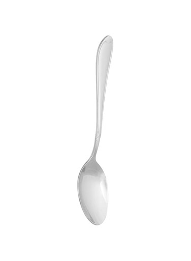 Winsor Stainless Steel 18/10 Dessert Spoon Proud,Silver