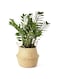JWWYJ Woven Seagrass Belly Basket with Handles, Indoor Home Storage Plant Pot Basket, Hand Crafted Natural Picnic Straw Basket for Picnic, Home Decor(Medium, Natural)