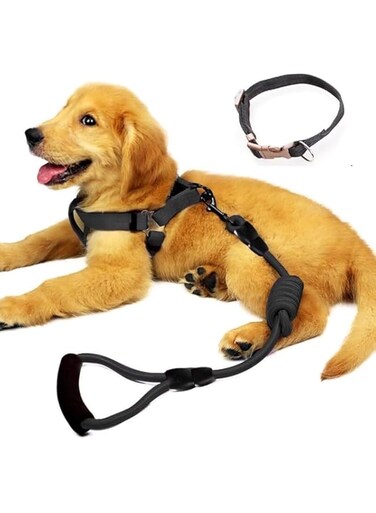 Pet Heaven Dog Harness with Leash Set,No Pull Adjustable Reflective Step-in Puppy Harness with Padded Vestfor Extra-Small/Small Medium Large Dogs and Cats (2pc)(3pc)) (Black (3pc), S)