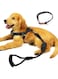 Pet Heaven Dog Harness with Leash Set,No Pull Adjustable Reflective Step-in Puppy Harness with Padded Vestfor Extra-Small/Small Medium Large Dogs and Cats (2pc)(3pc)) (Black (3pc), S)