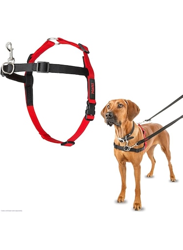 COA LH03 Harness Black/Red- Large
