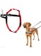 COA LH03 Harness Black/Red- Large